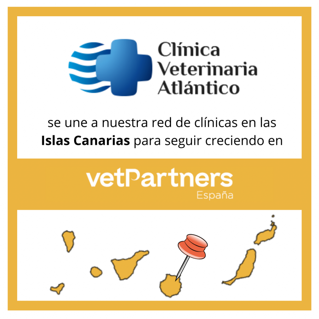 Clínica Veterinaria Atlántico: última incorporación a VetPartners España.