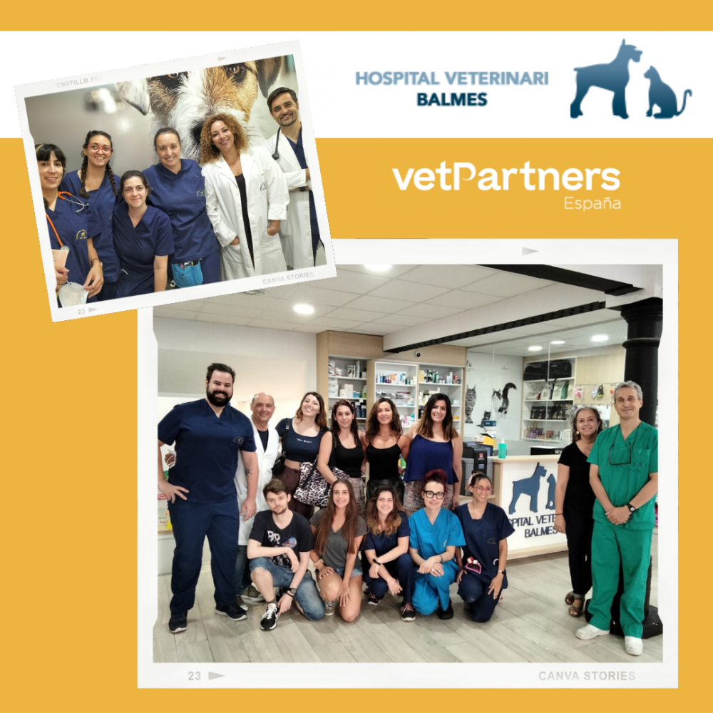 El Hospital Veterinari Balmes se incorpora a VetPartners España