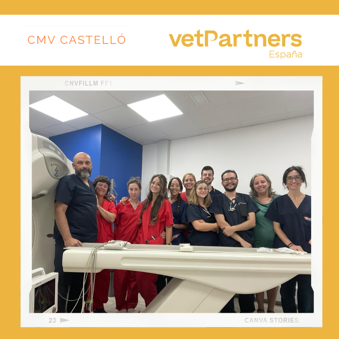 El CMV Castellón refuerza la red de VetPartners España en la zona de Levante