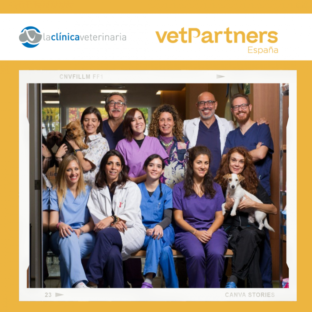 Los cuatro centros de La Clínica Veterinaria se unen a VetPartners