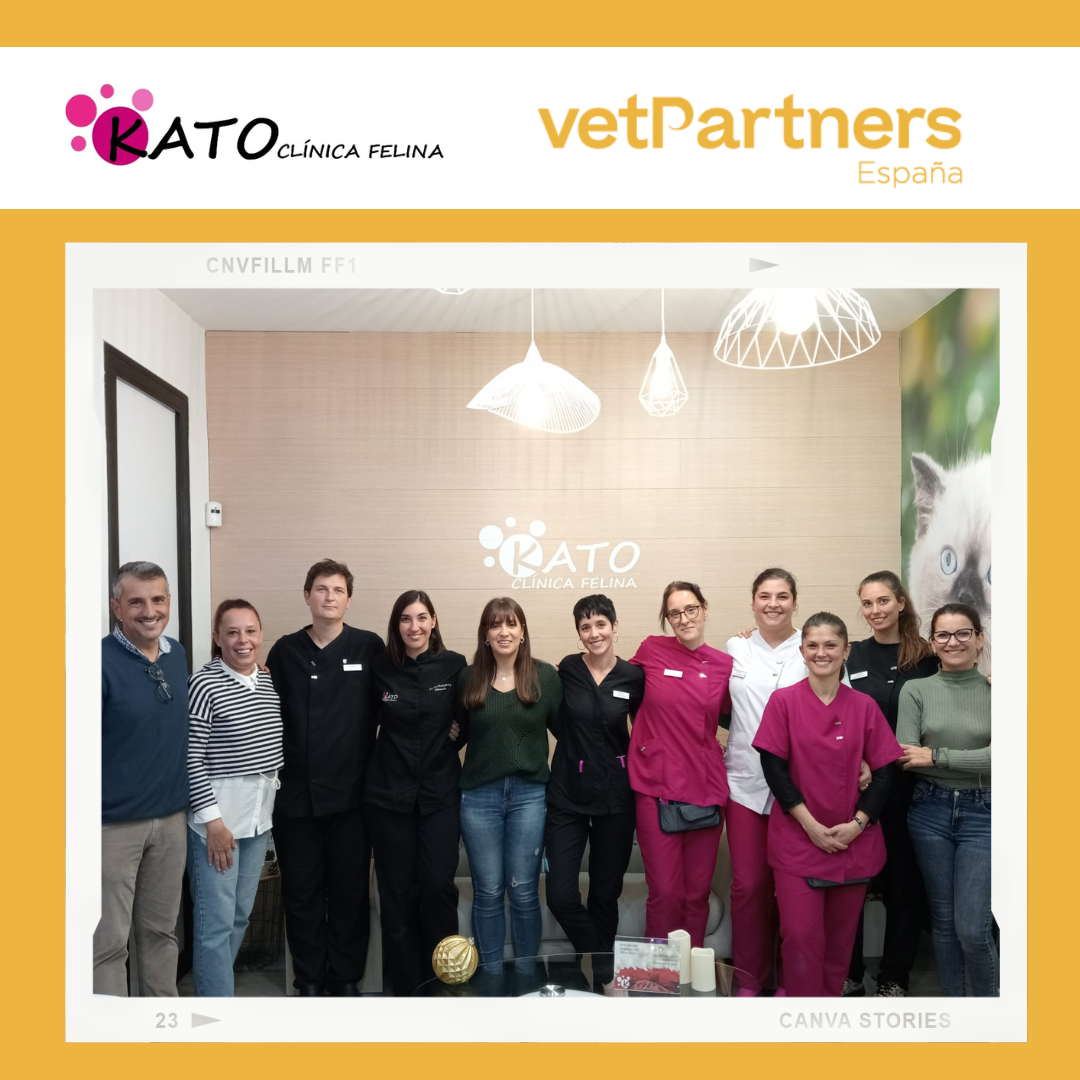 Kato es la primera clínica exclusiva felina que se incorpora a VetPartners en España