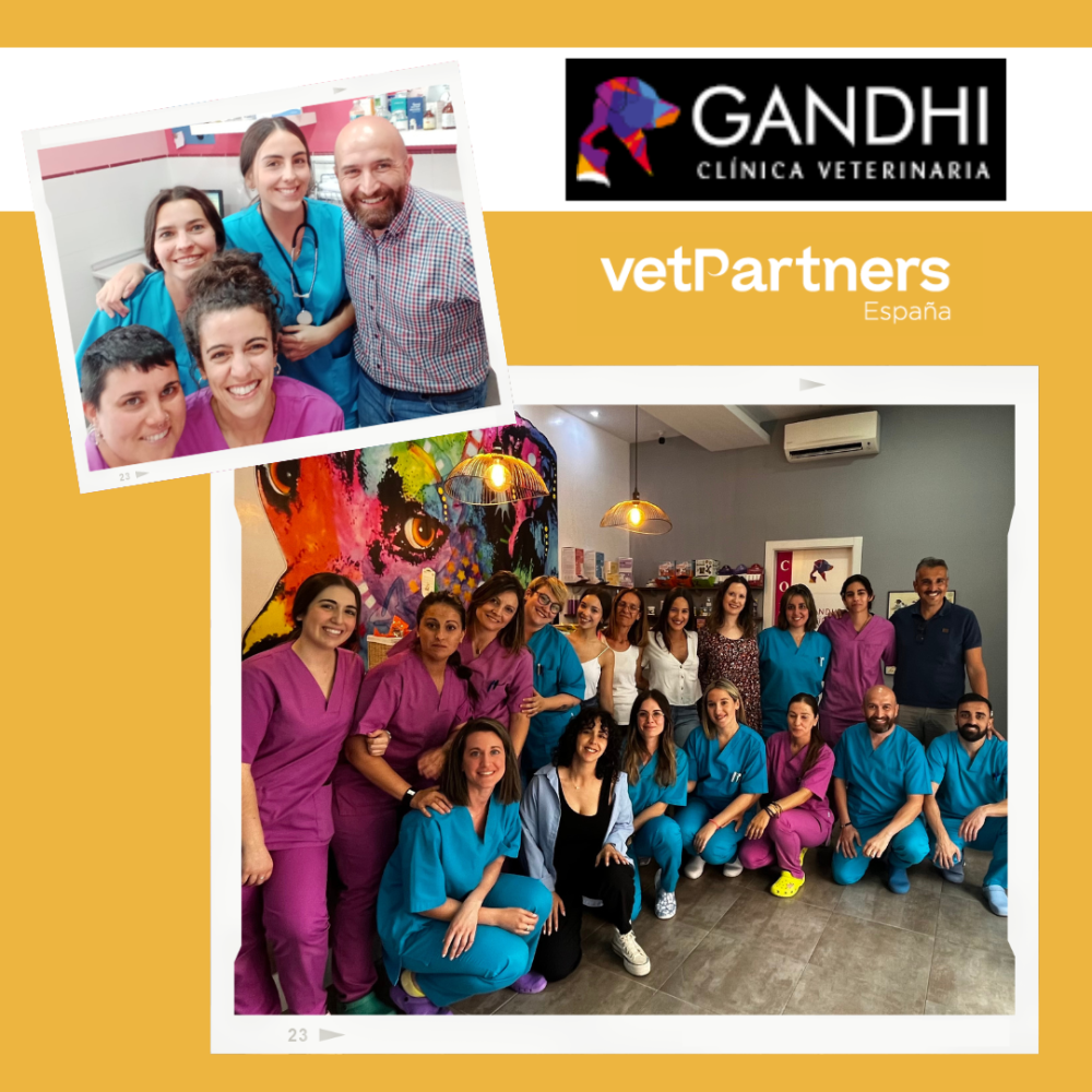 VetPartners suma los dos centros de La Clínica Veterinaria Gandhi y refuerza así su presencia en Andalucía