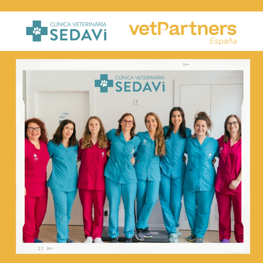VetPartners amplía la familia en Valencia: damos la bienvenida a Clínica Veterinaria Sedaví