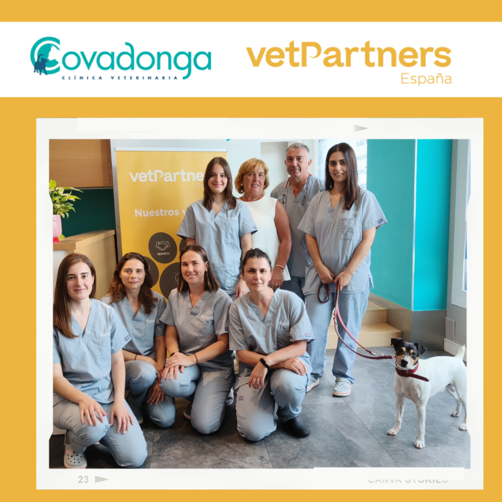 VetPartners logra 6 centros veterinarios en Asturias con la incorporación de Clínica Veterinaria Covadonga