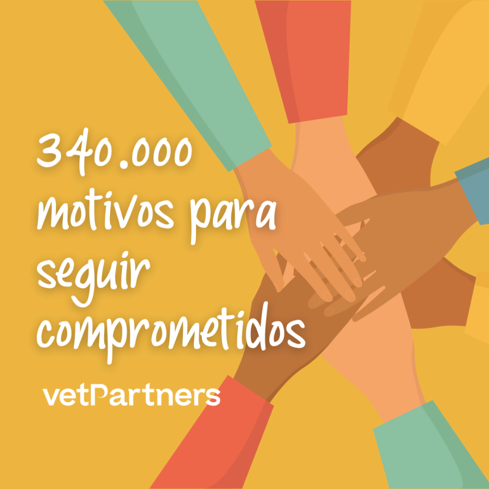 La familia VetPartners ha recaudado más de 340.000 euros en 2023 fruto de su concienciación solidaria