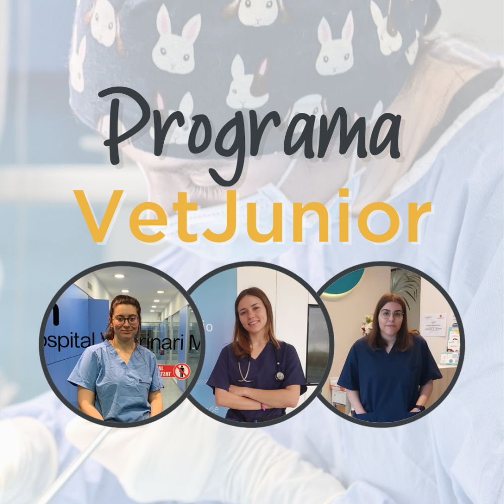 VetJunior: donde comienza la carrera veterinaria de los recién graduados