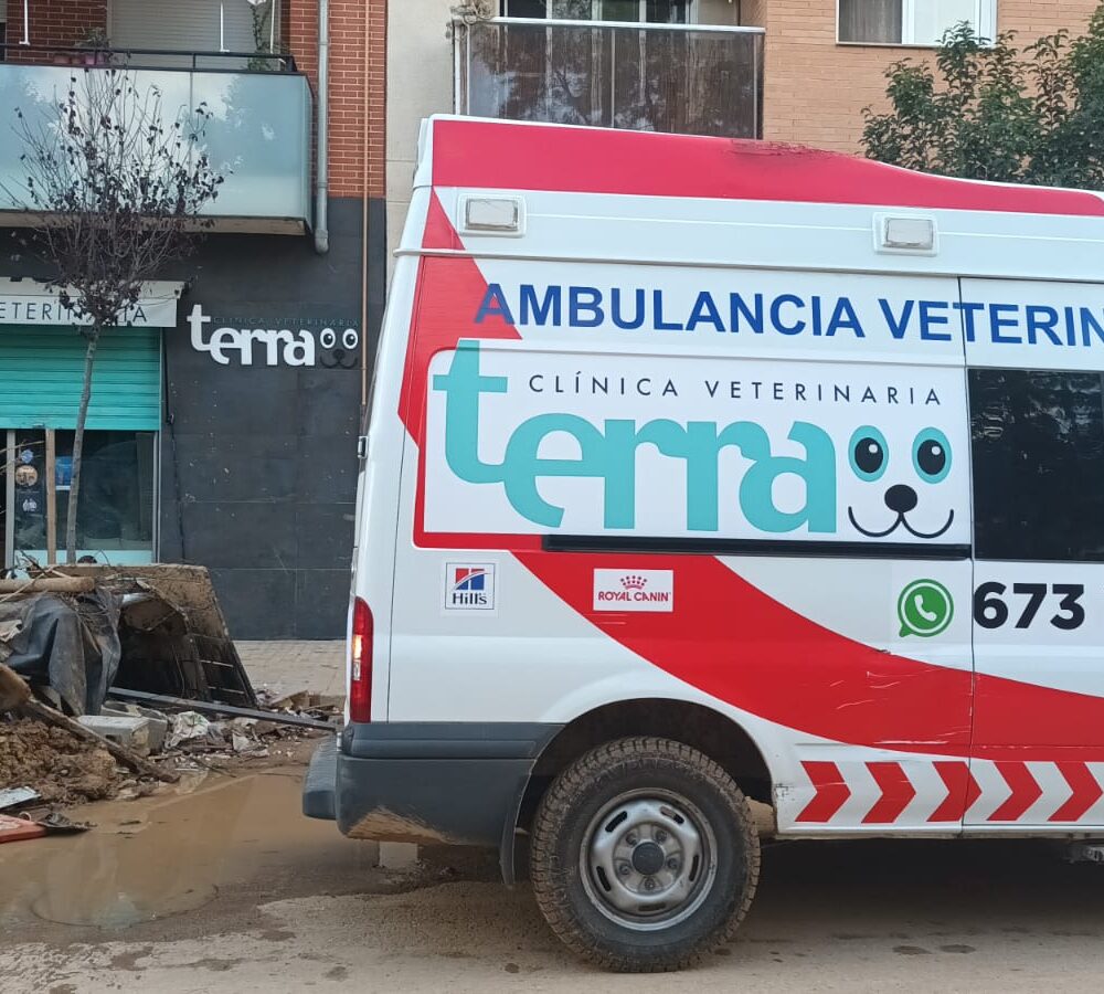 Nuestra ambulancia está ofreciendo atención veterinaria a los pacientes de la zona afectada por la DANA